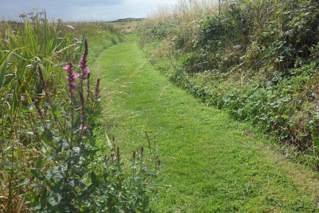 Rockmount House B&B Clifden Dış mekan fotoğraf